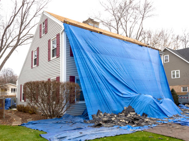 Professional Siding Installation in Sterling City, TX